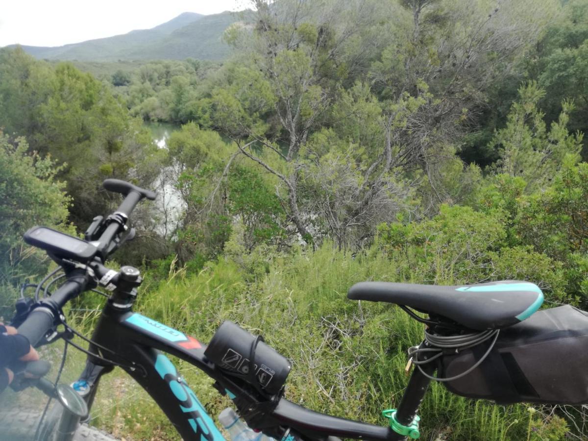 El Pinar De Bardena Carcastillo