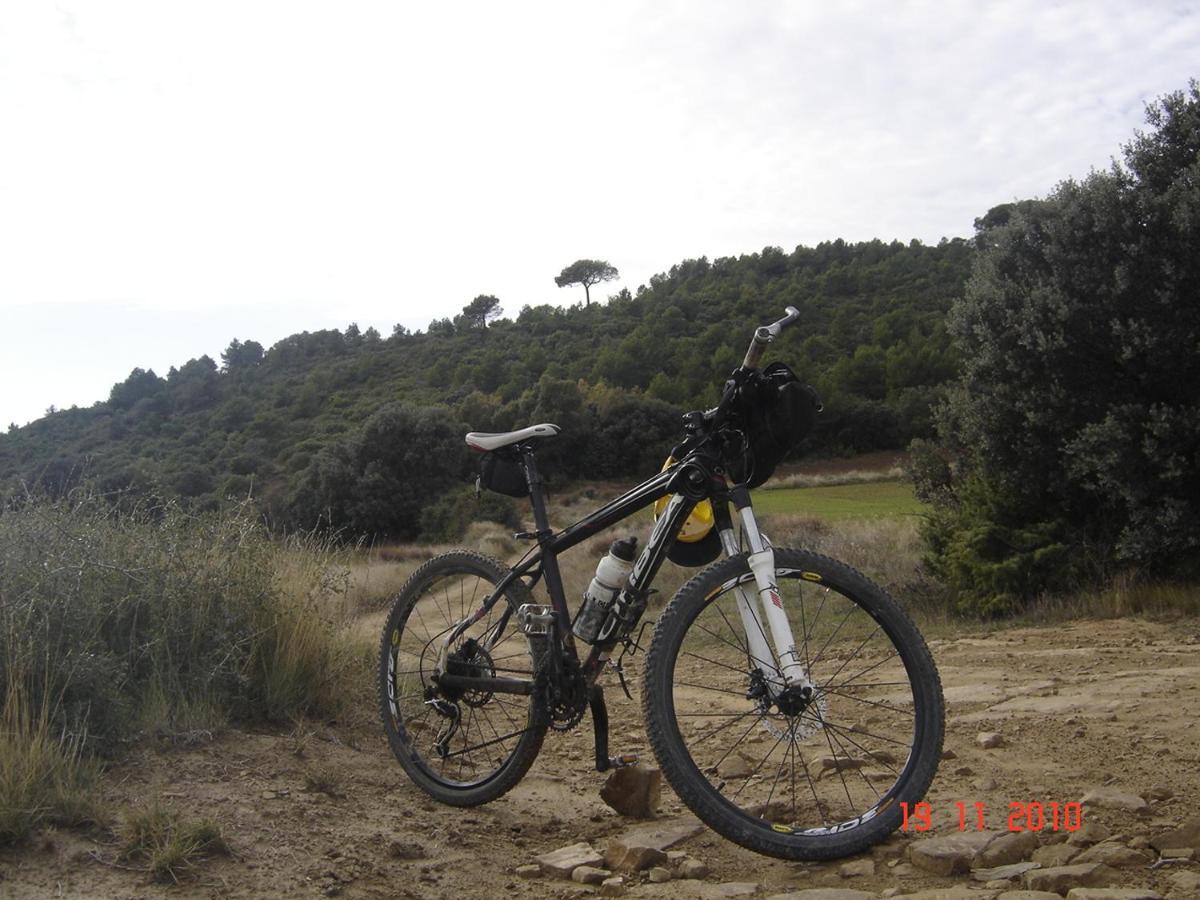 Holiday home El Pinar De Bardena *