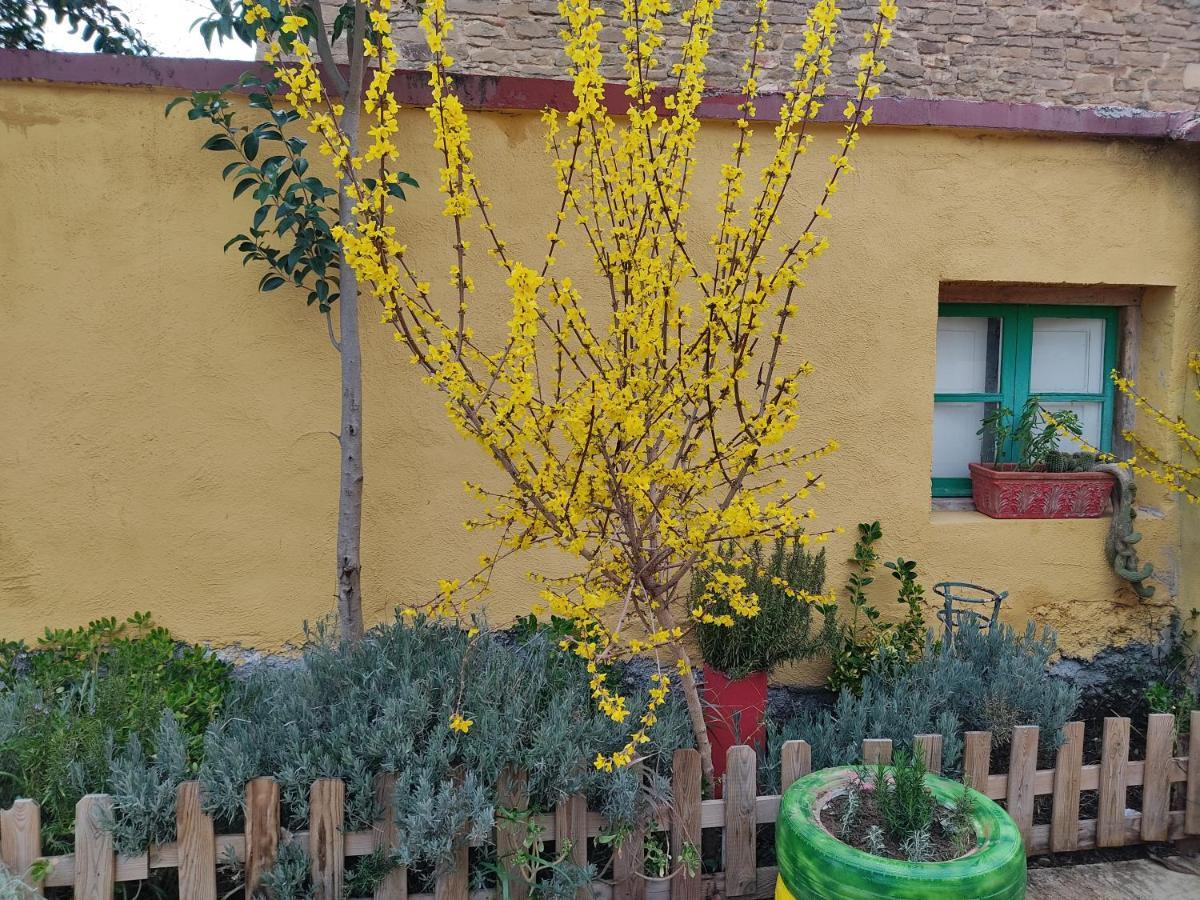 Holiday home El Pinar De Bardena