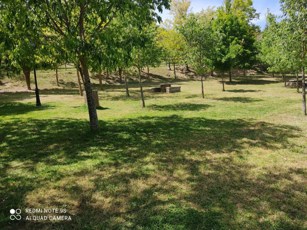 El Pinar De Bardena Holiday home Carcastillo