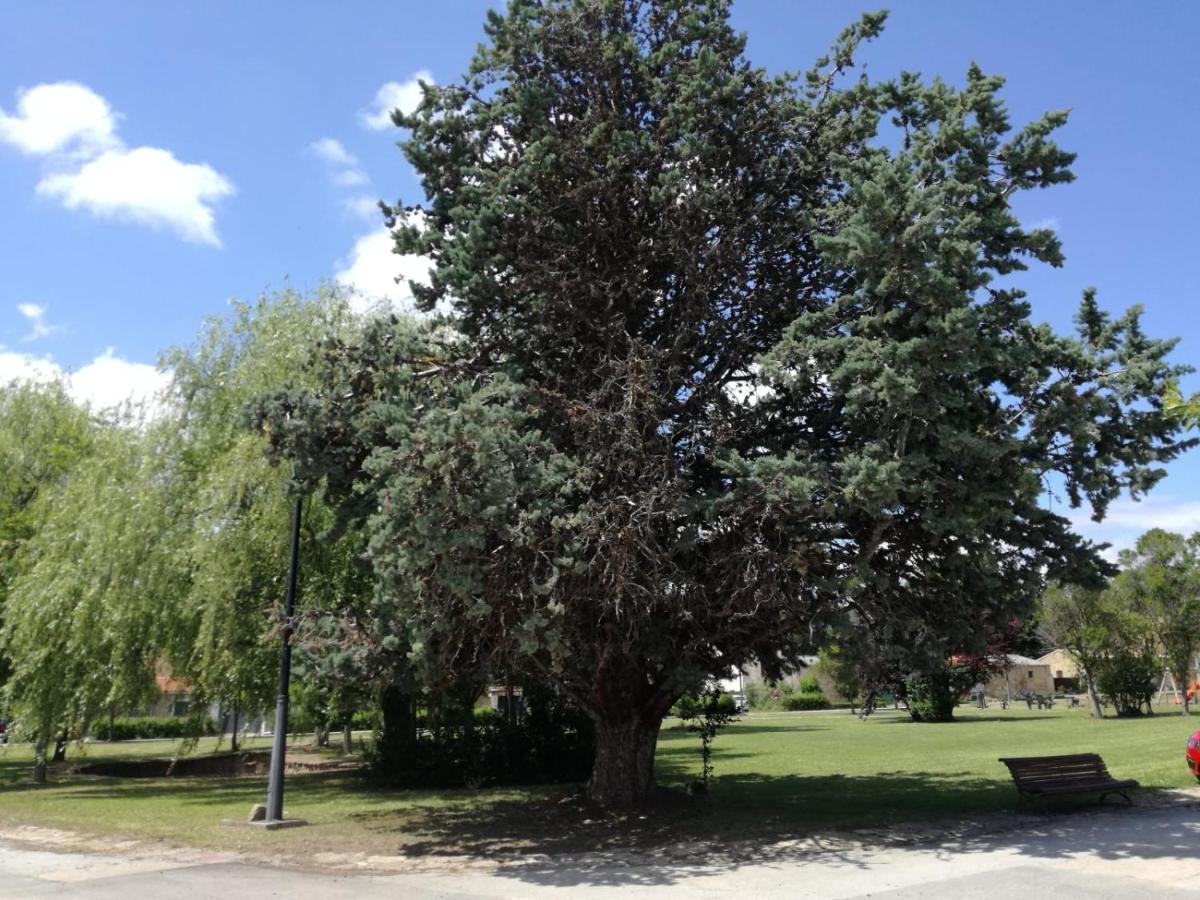 El Pinar De Bardena Holiday home
