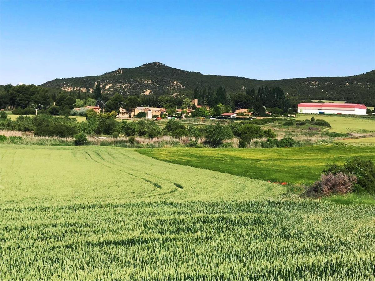 El Pinar De Bardena Carcastillo