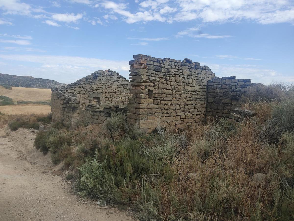 El Pinar De Bardena Carcastillo