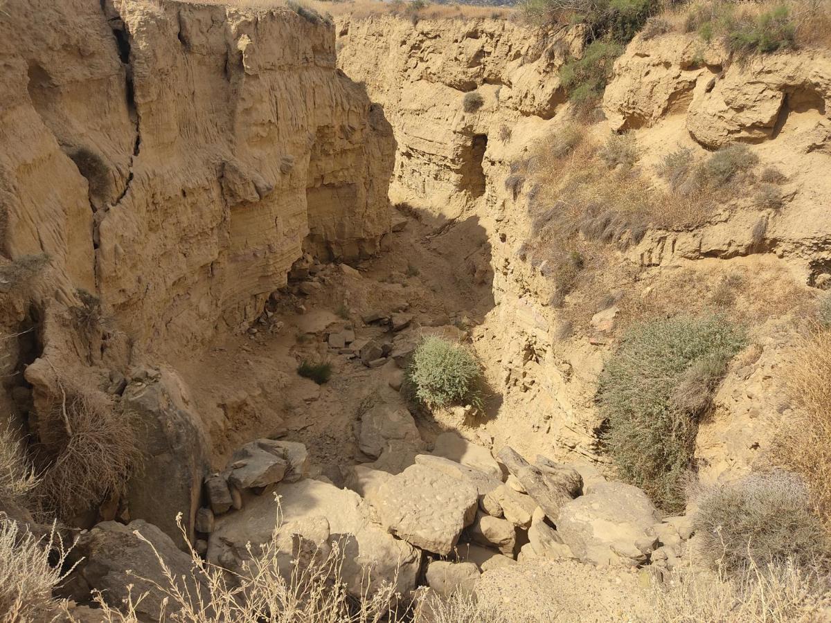 El Pinar De Bardena