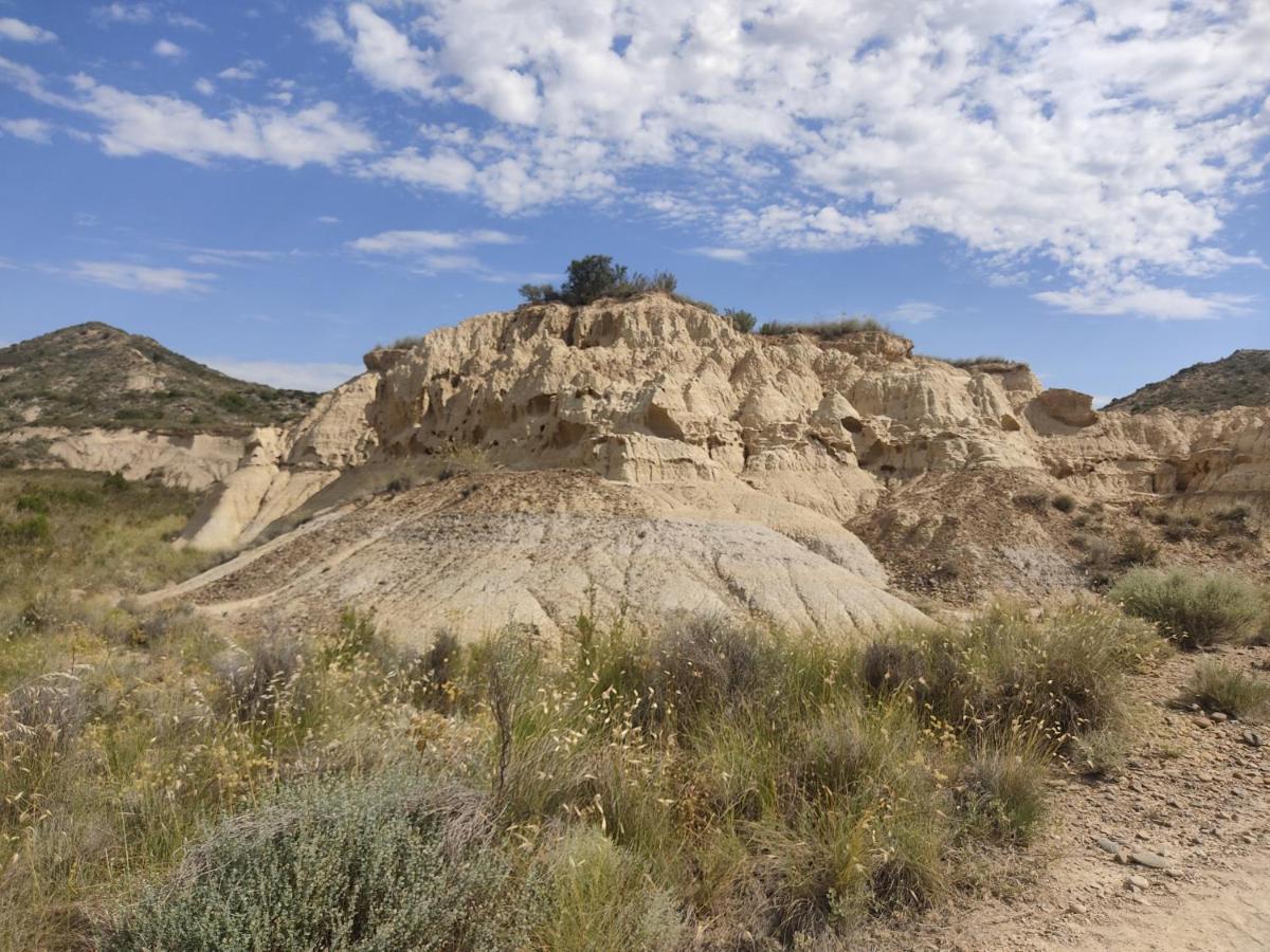 El Pinar De Bardena Holiday home Carcastillo