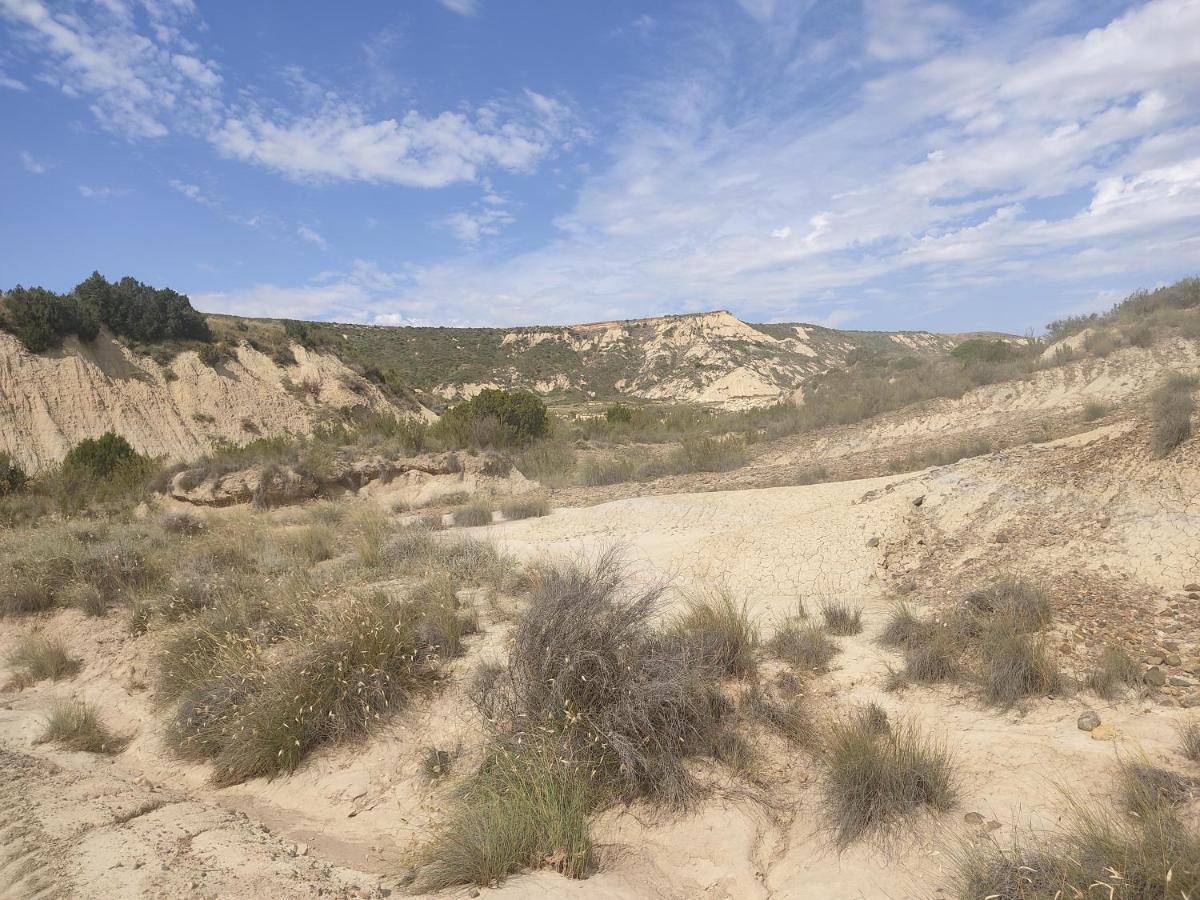 El Pinar De Bardena Holiday home Carcastillo