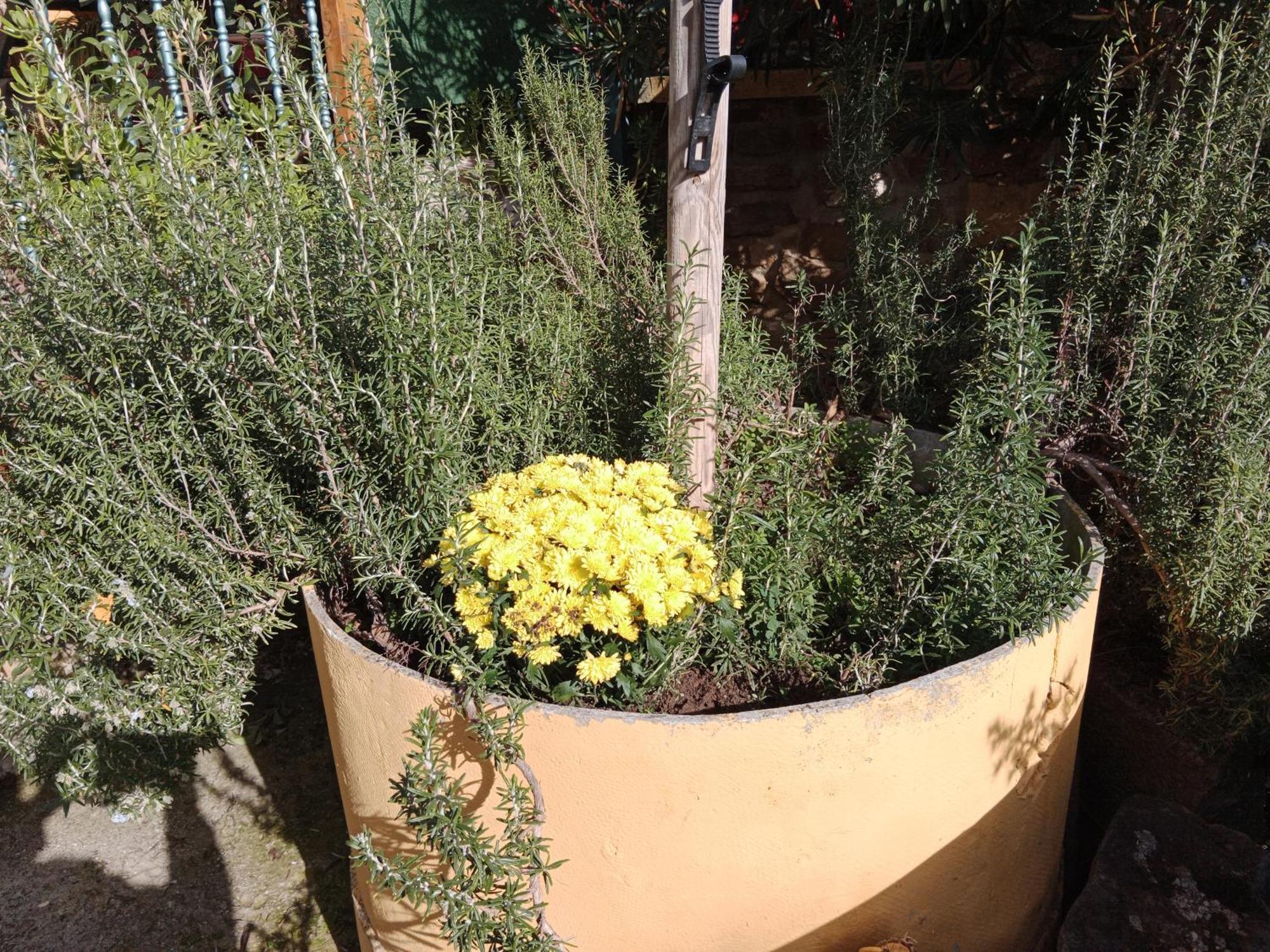 El Pinar De Bardena Holiday home
