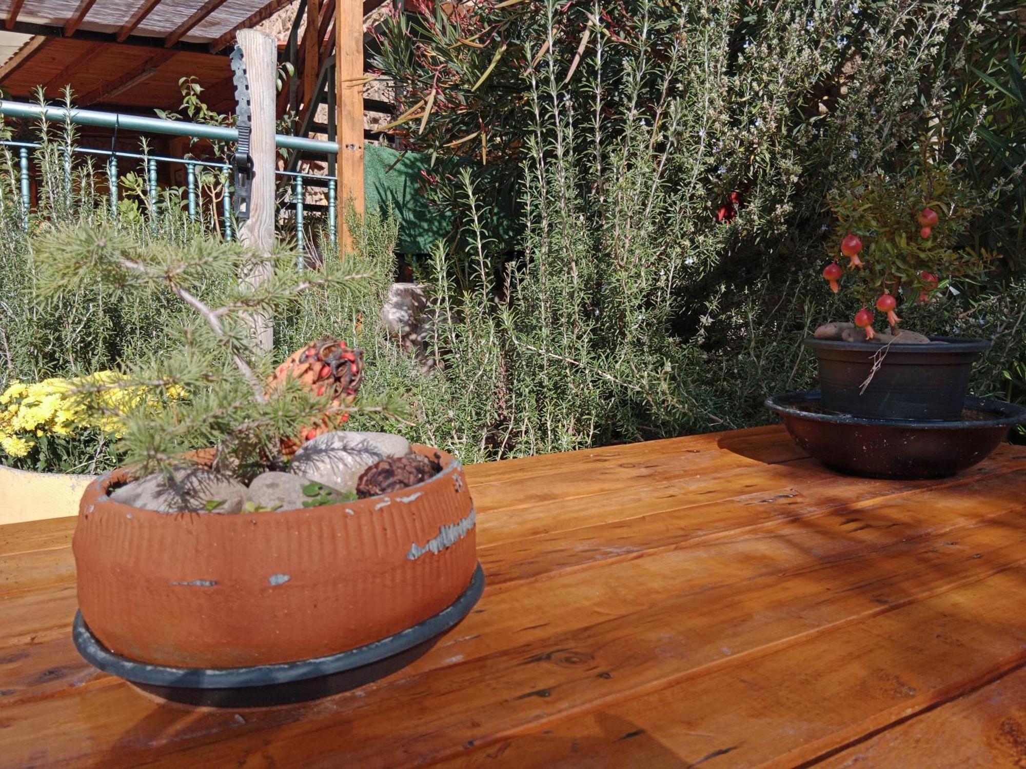 El Pinar De Bardena Holiday home *